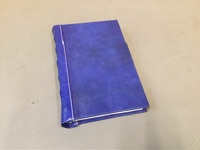 CAI Sale Item